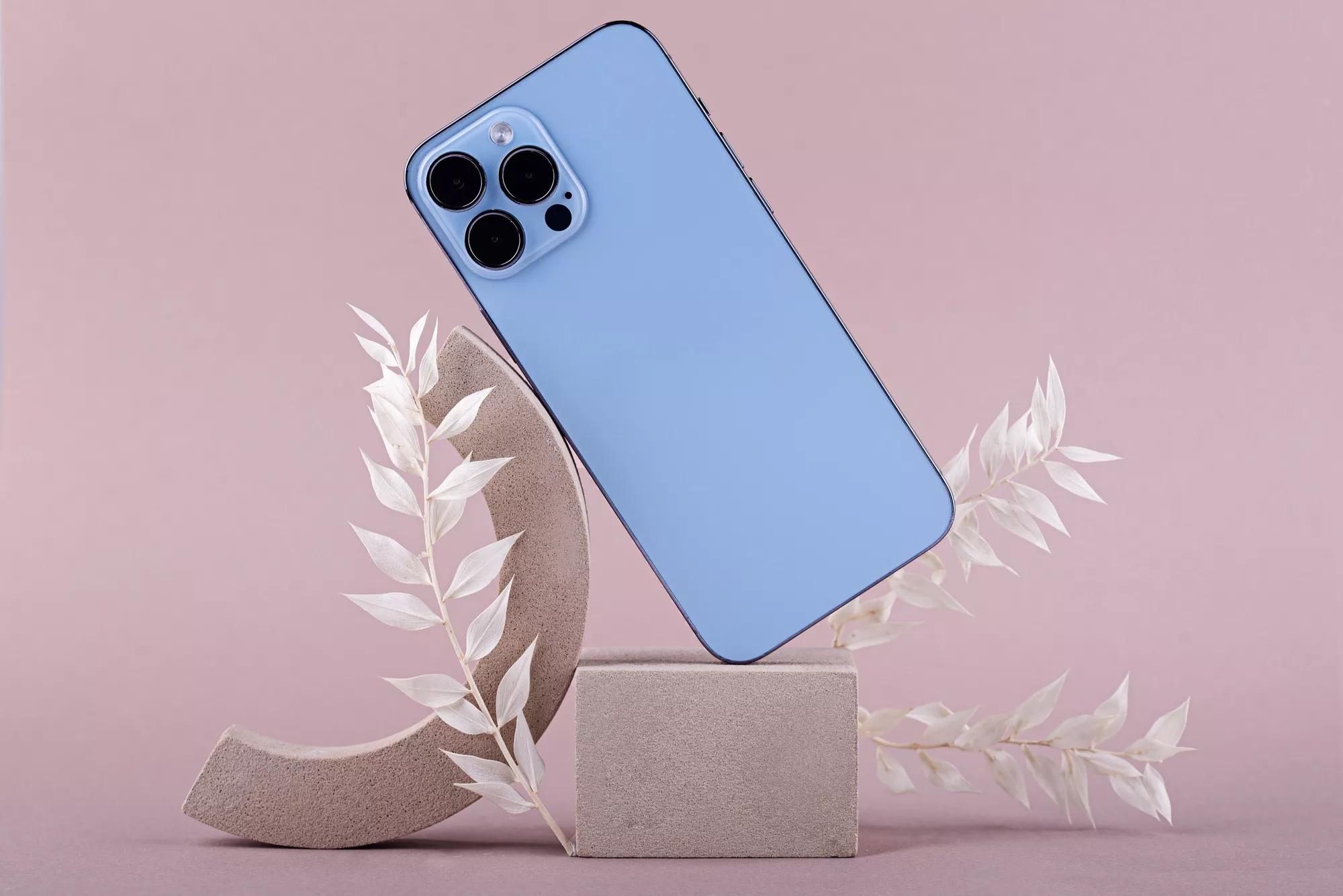 The wise man therefore always holds in these matters